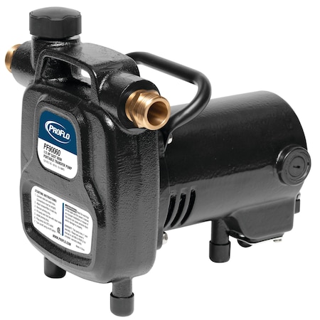 Proflo Cast Iron Portable Transfer Pump PF90060